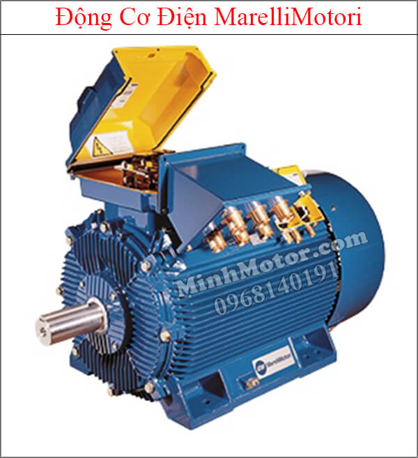 MarelliMotori motor
