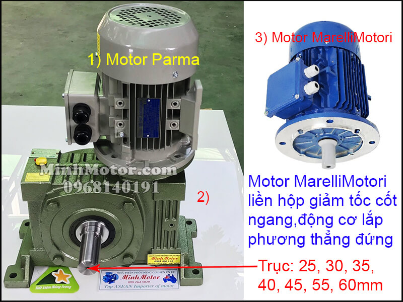 Vận hành MarelliMotori motor 3 pha 220v