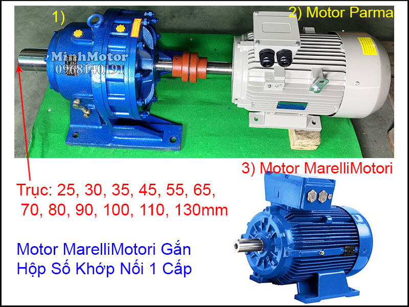 Động cơ điện MarelliMotori lắp đặt nhông xích