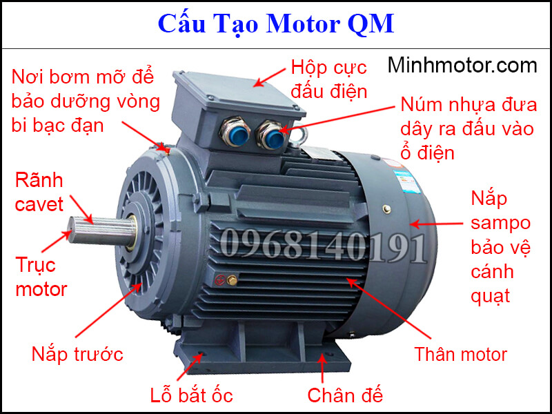Cấu tạo motor QM
