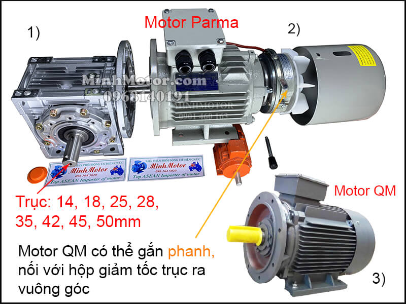 Vận hành motor QM 3 pha 220v