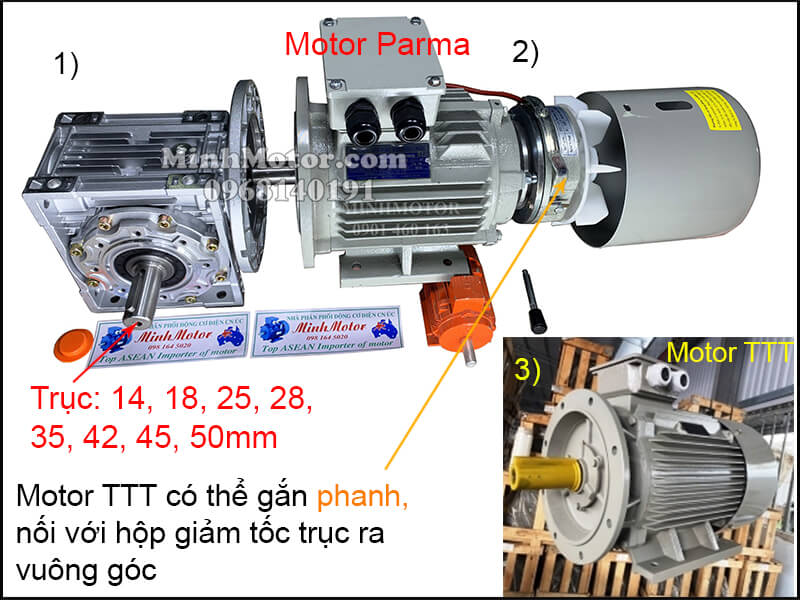 Vận hành motor TTT 3 pha 220v