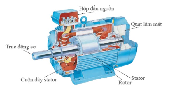 Khám Phá Bí Ẩn Cấu Tạo Motor Điện: Điều Gì Khiến Nó Trở Thành Trái Tim Của Công Nghiệp Hiện Đại?