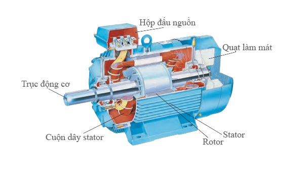 Cách Khắc Phục Lỗi Động Cơ Bị Biến Dạng, Gãy Trục: Nguyên Nhân và Giải Pháp Hiệu Quả