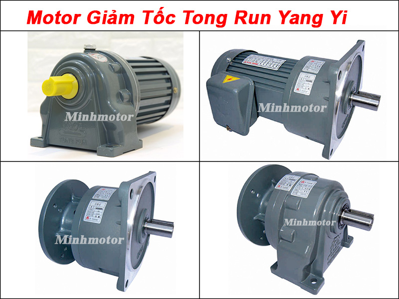 Top 5 Loại Motor Giảm Tốc Tong Run - Motor Tong Run Yang Yi Phổ Biến Nhất