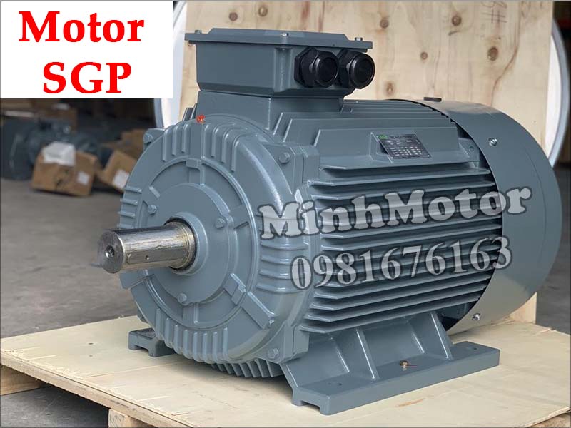 Motor SGP