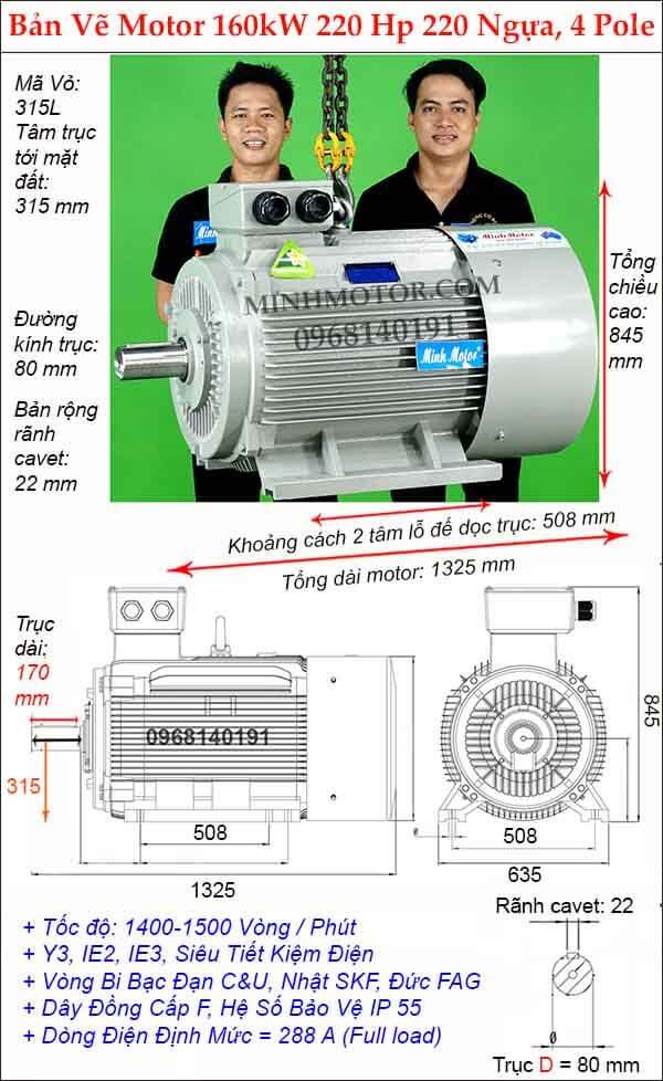 Bản vẽ động cơ điện 3 pha 220Hp 160kw chân đế, 4 Pole