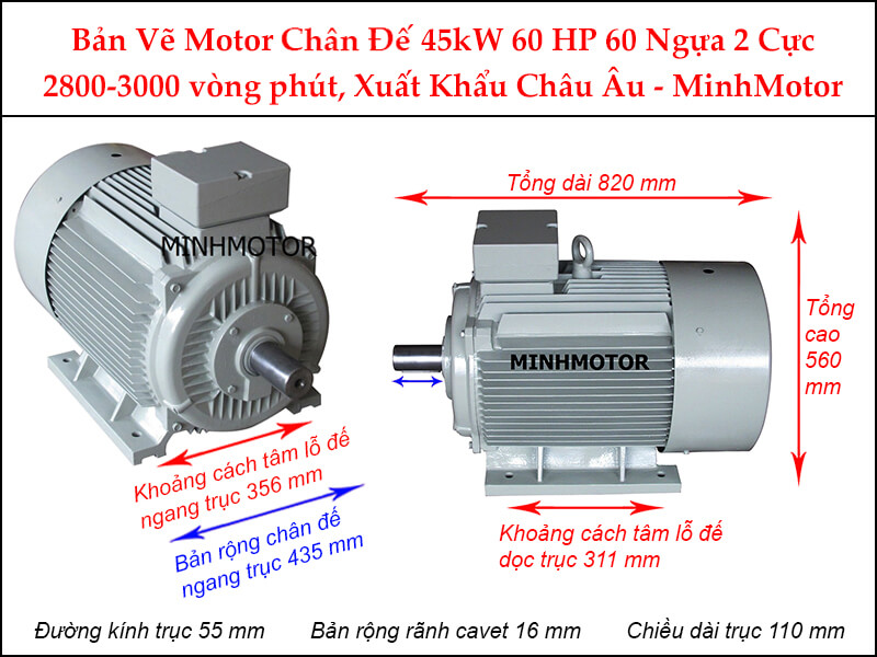 Bản vẽ motor chân đế 45kW 60Hp 60 ngựa 2 cực