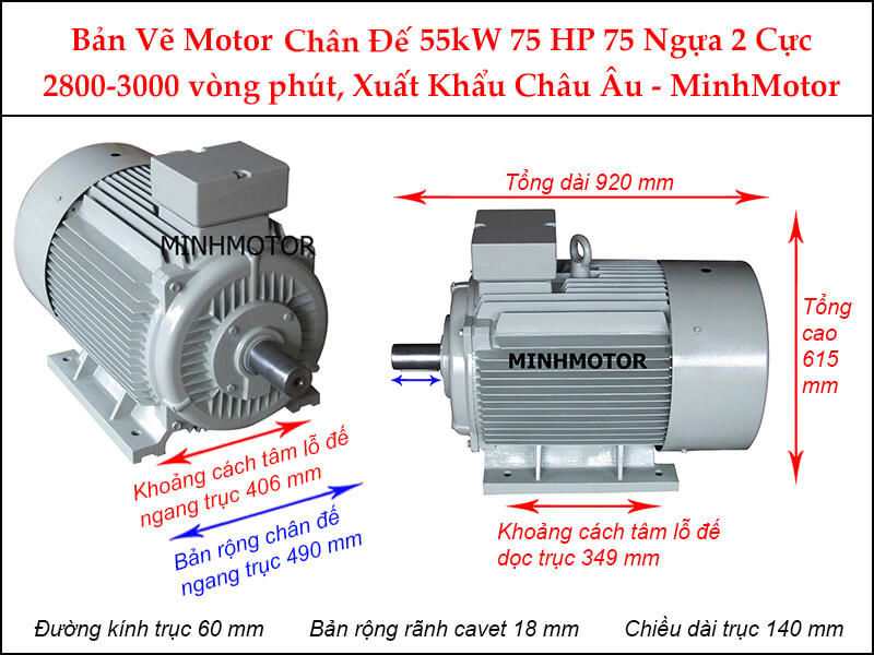 Bản vẽ motor chân đế 55kW 75Hp 75 Ngựa 2 cực