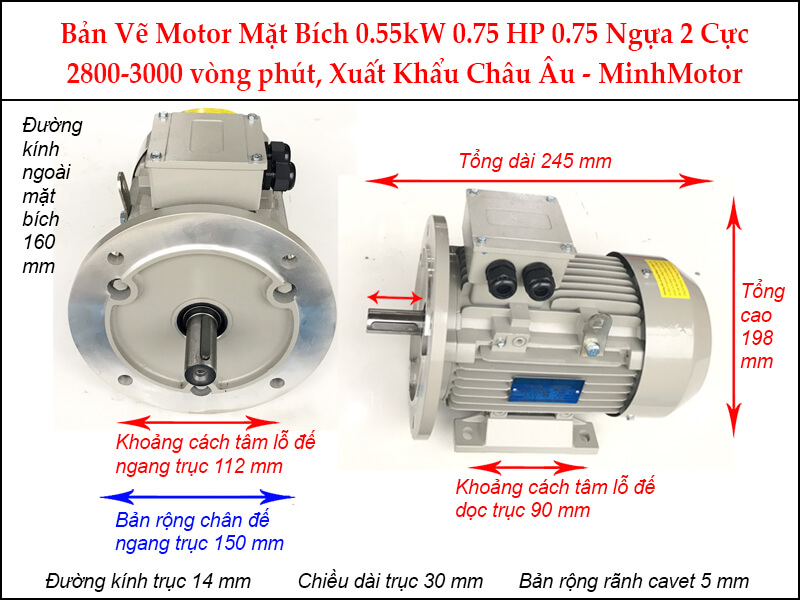Bản vẽ motor mặt bích 0.55kW 0.75HP 0.75 Ngựa 2 Cực