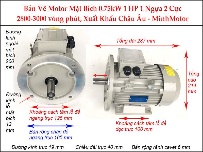 Bản vẽ motor mặt bích 0.75kW 1Hp 1 Ngựa 2 Cực