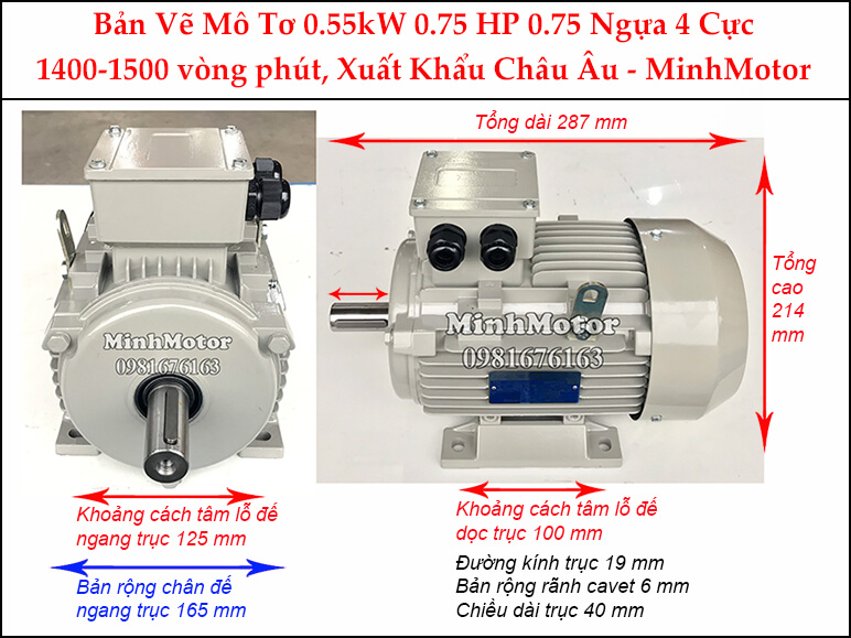 Bản vẽ motor chân đế 0.55kW 0.75HP 0.75 Ngựa 4 Cực