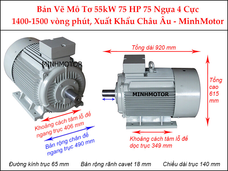 Bản vẽ motor chân đế 55kW 75Hp 75 Ngựa 4 cực