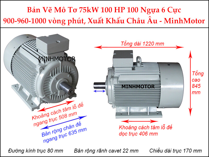 Bản vẽ motor chân đế 75Kw 100Hp 100 Ngựa 6 Cực
