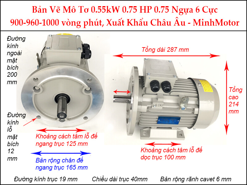 Bản vẽ motor mặt bích 0.55kW 0.75HP 0.75 Ngựa 6 Cực