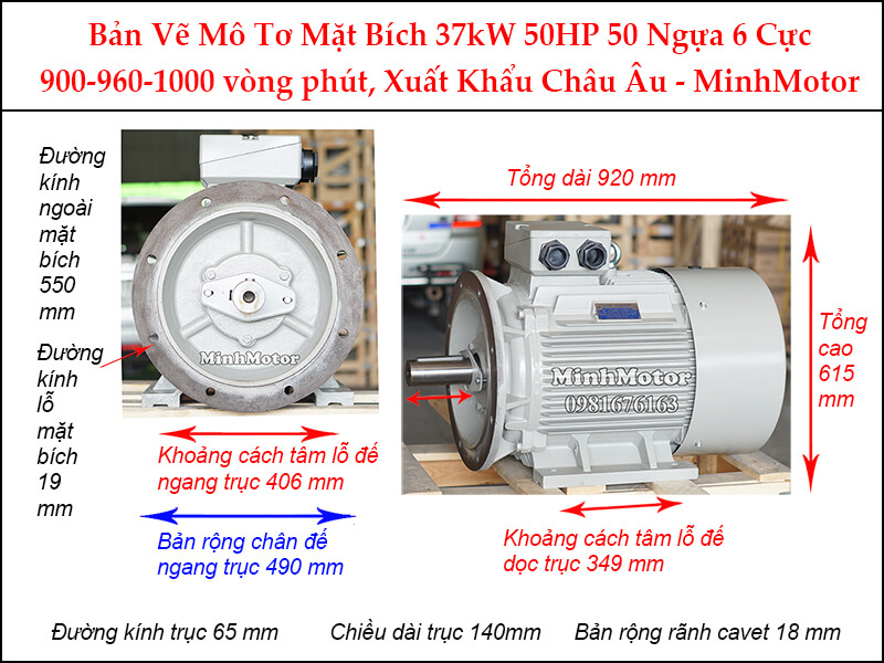 Bản vẽ motor mặt bích 37Kw 50Hp 50 Ngựa 6 Cực