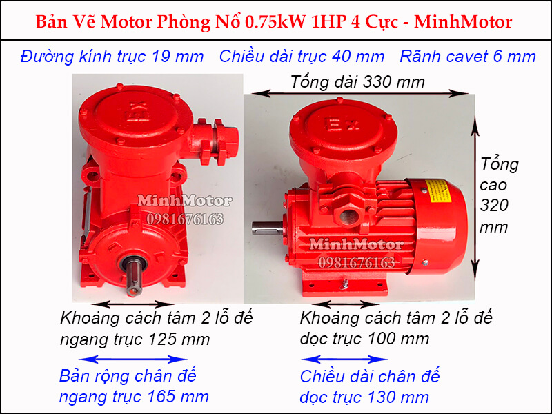 Bản vẽ motor phòng nổ chân đế 0.75kw 1HP 1 Ngựa 4 Cực
